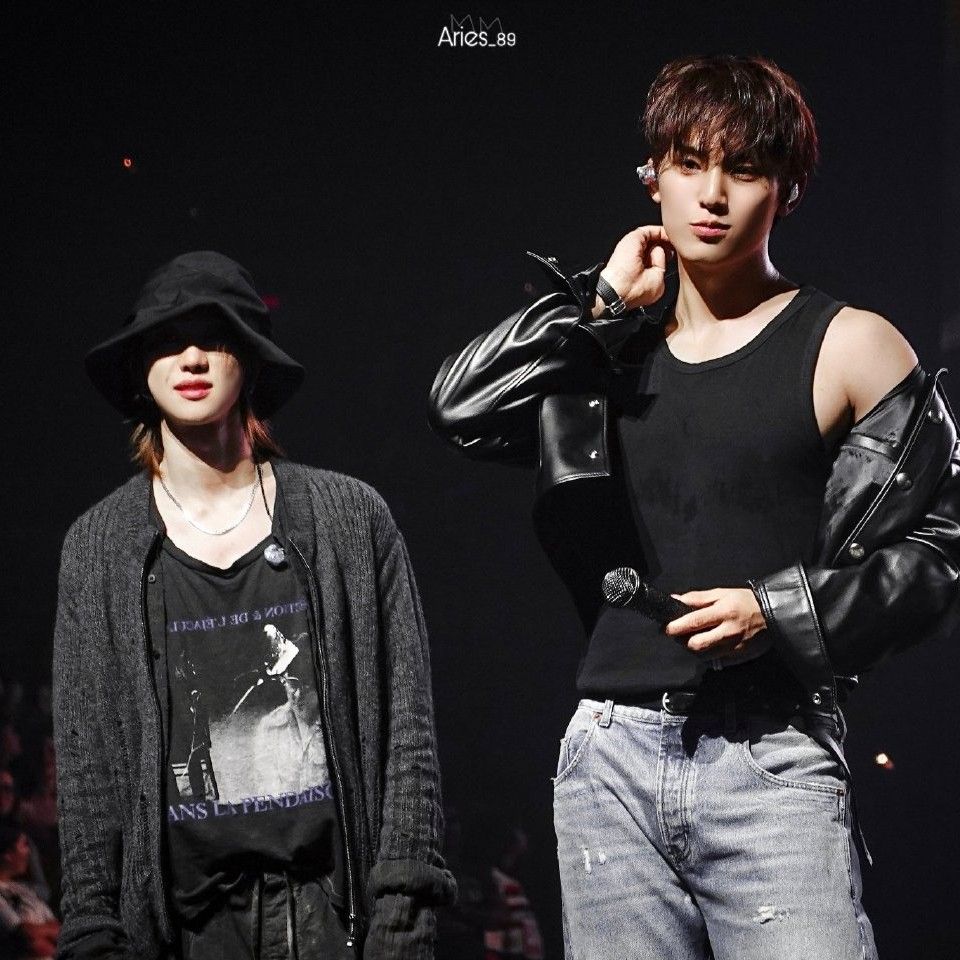 세븐틴 팬이 찍은 순간