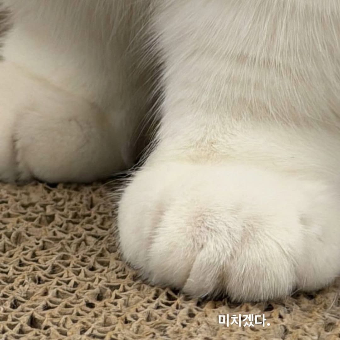 뷔 (방탄소년단) 팬이 찍은 순간