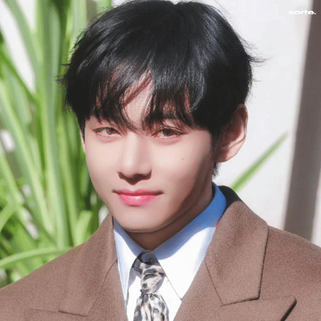 뷔 (방탄소년단) 팬이 찍은 순간