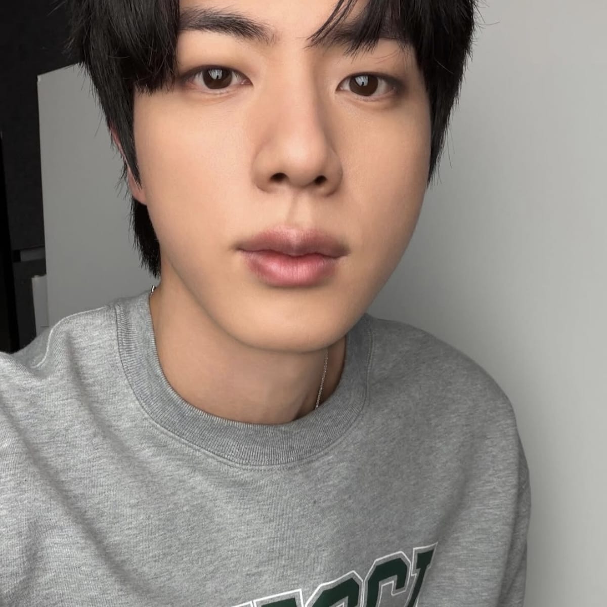 Momen yang diabadikan oleh penggemar Jin (BTS)