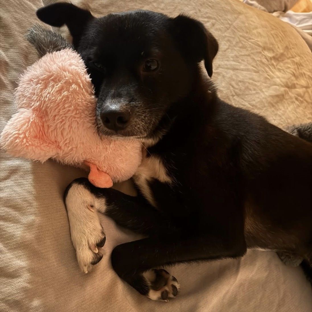 Latest photo of Jihyo (TWICE)