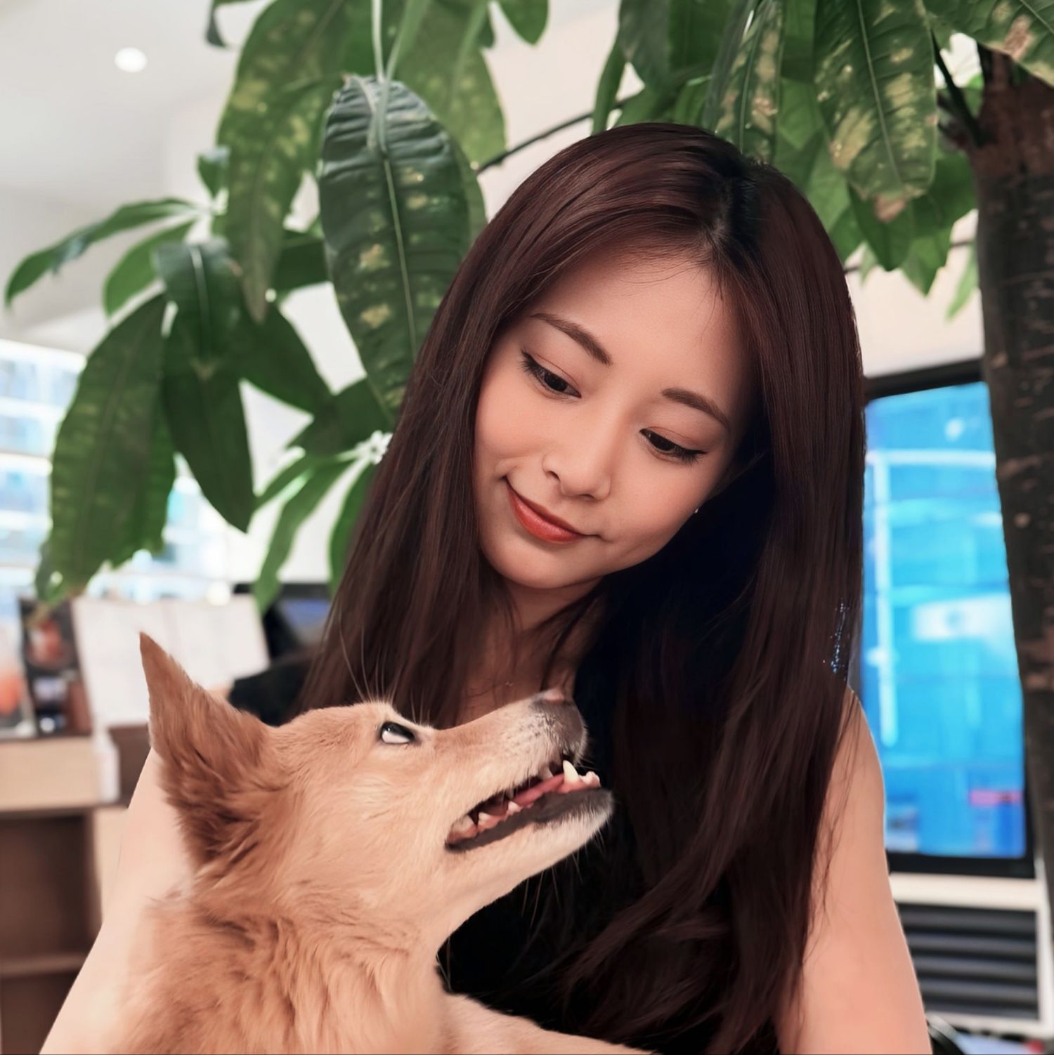 Recent activity shot of Tzuyu (TWICE)