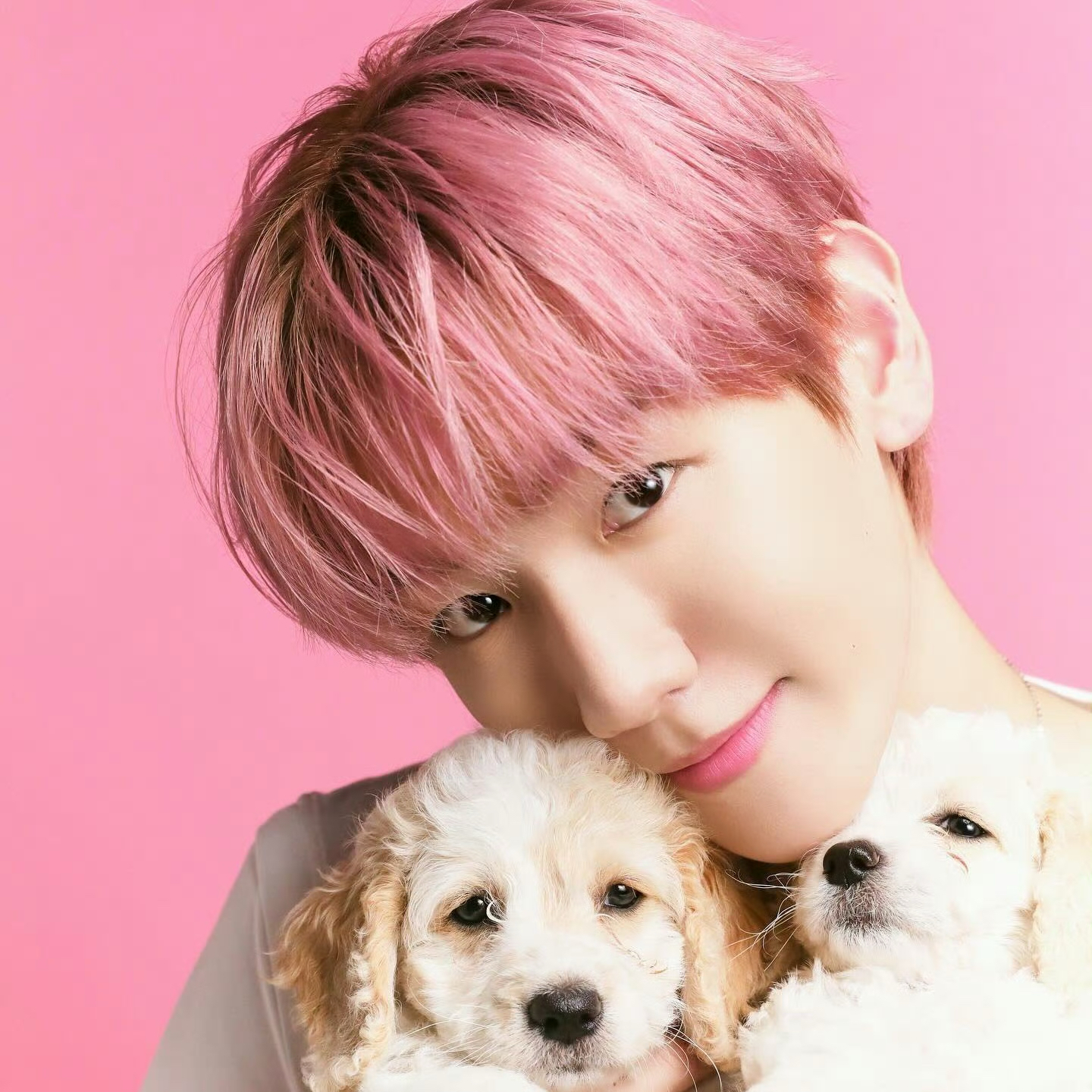 Recent activity shot of Baekhyun (EXO)