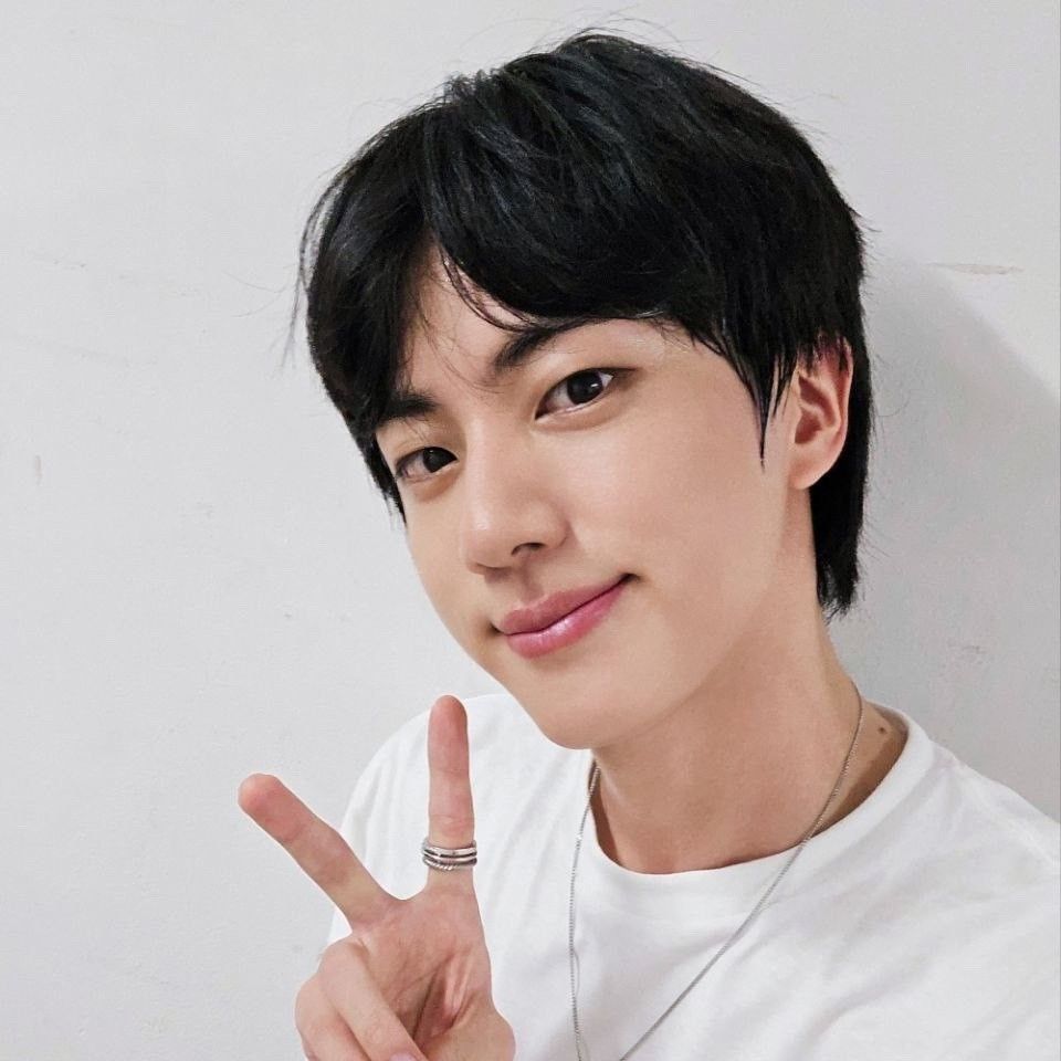 A moment captured by Jin (BTS)'s fan