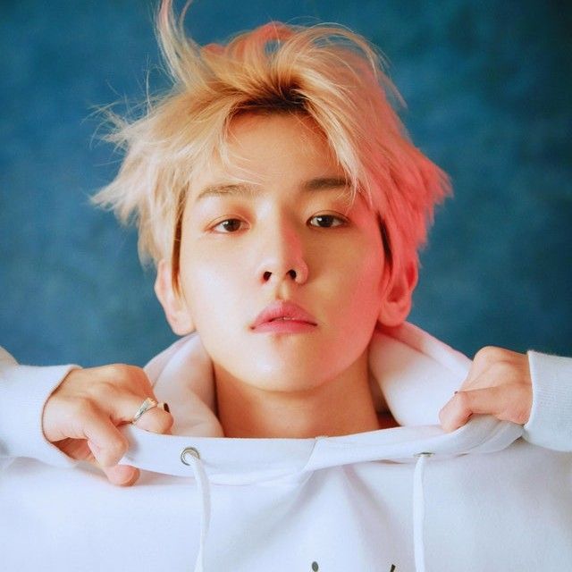 백현 (EXO) 팬이 찍은 순간