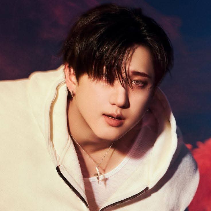 A moment captured by Changbin (Stray Kids)'s fan