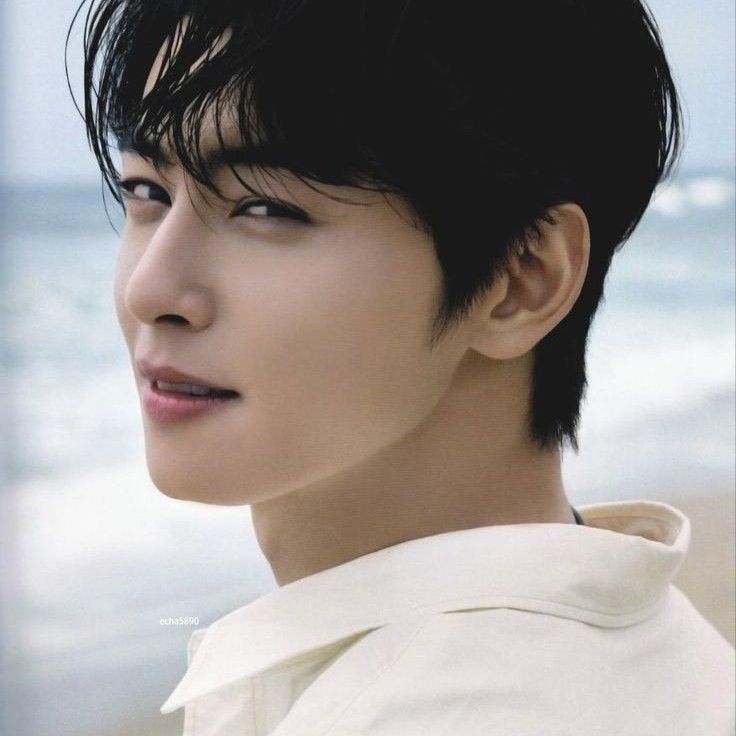 A moment captured by Eunwoo (ASTRO)'s fan