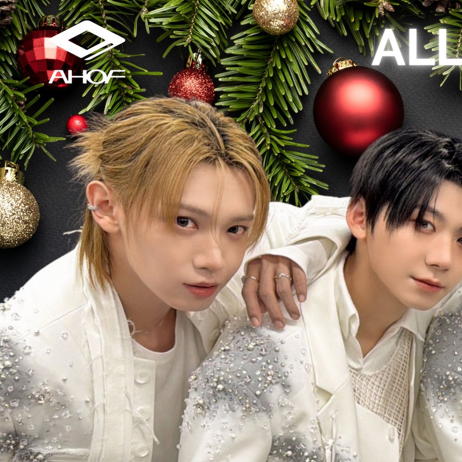 Recent activity shot of AHOF