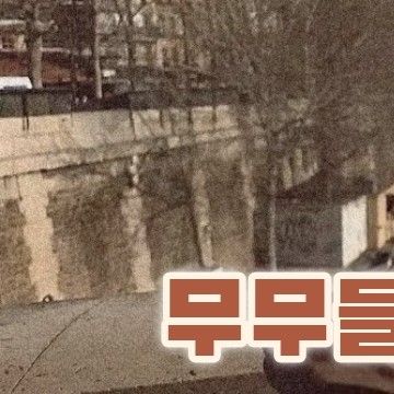 A moment captured by Hwasa (MAMAMOO)'s fan