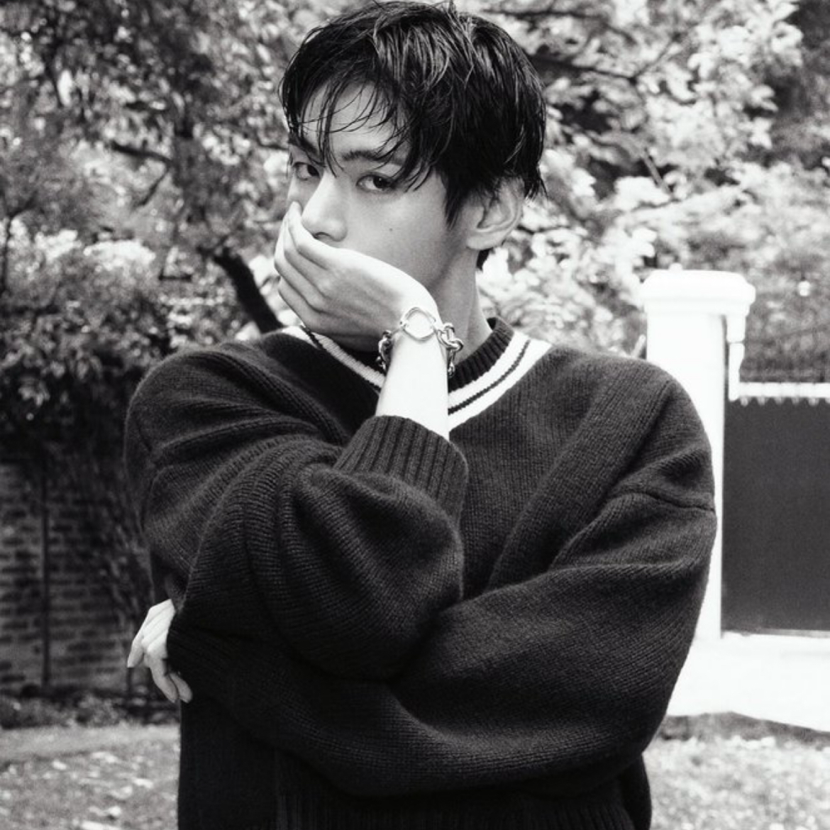 Potret di balik layar V (BTS)