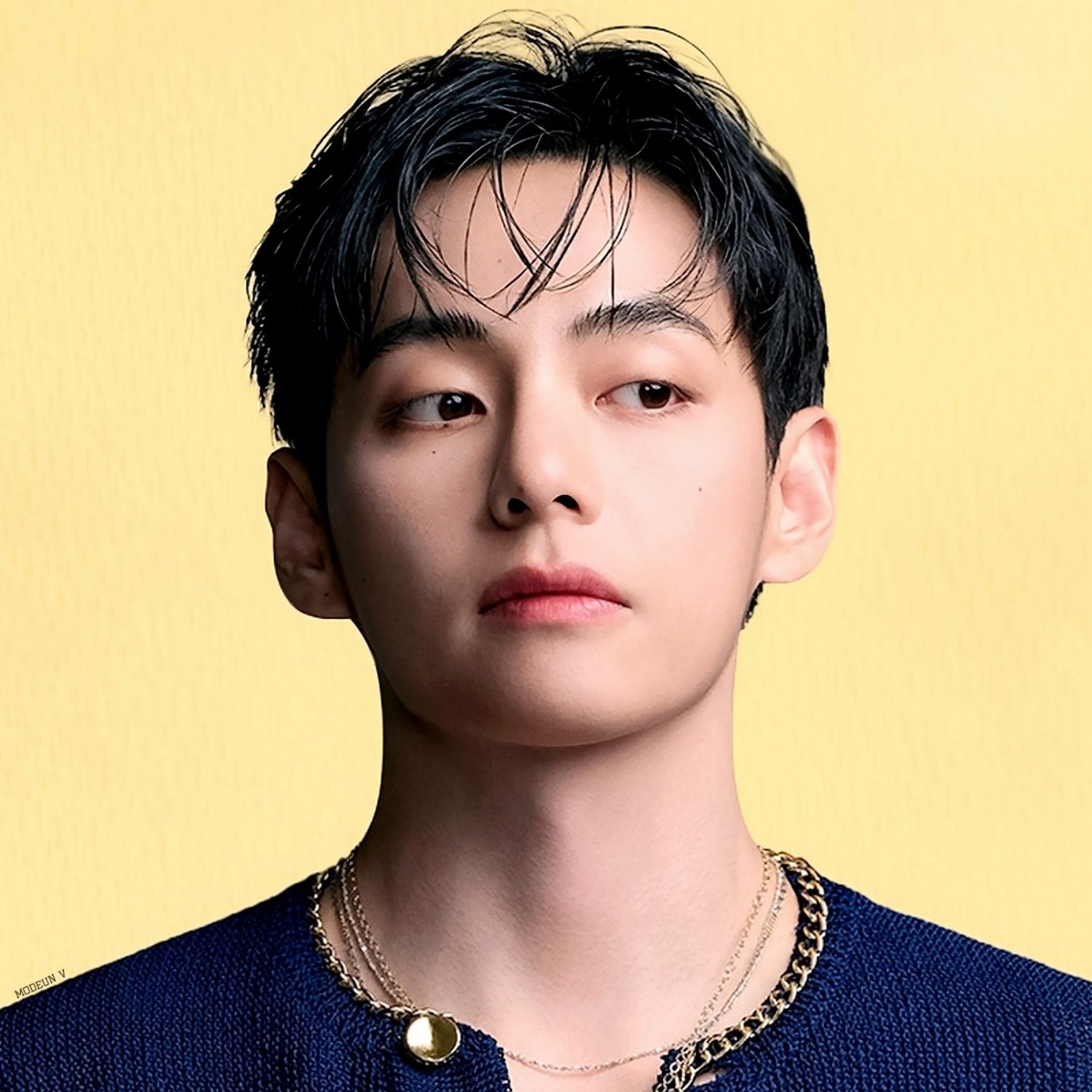 V (BTS)ファンが撮った瞬間