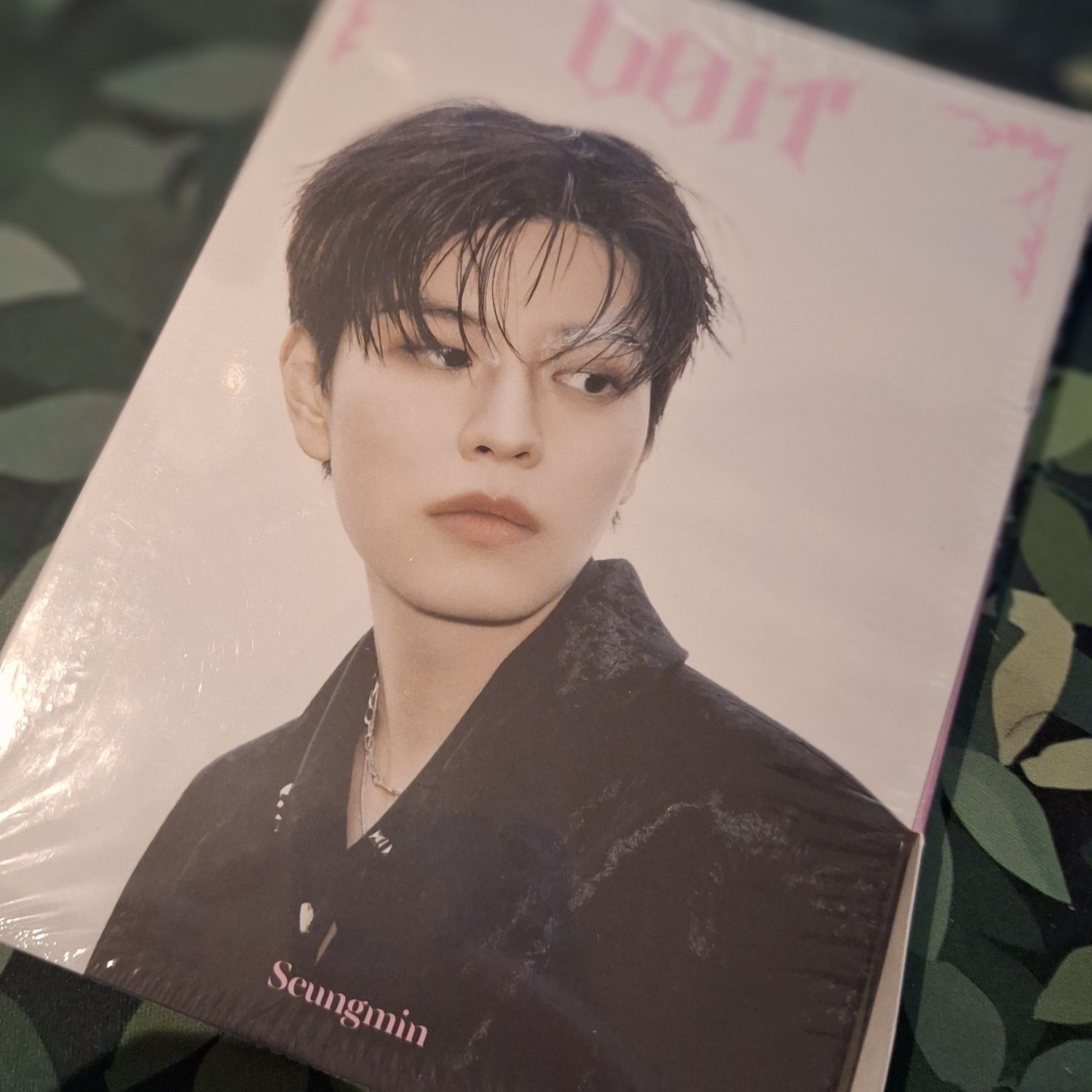 승민 (Stray Kids)의 최신 사진