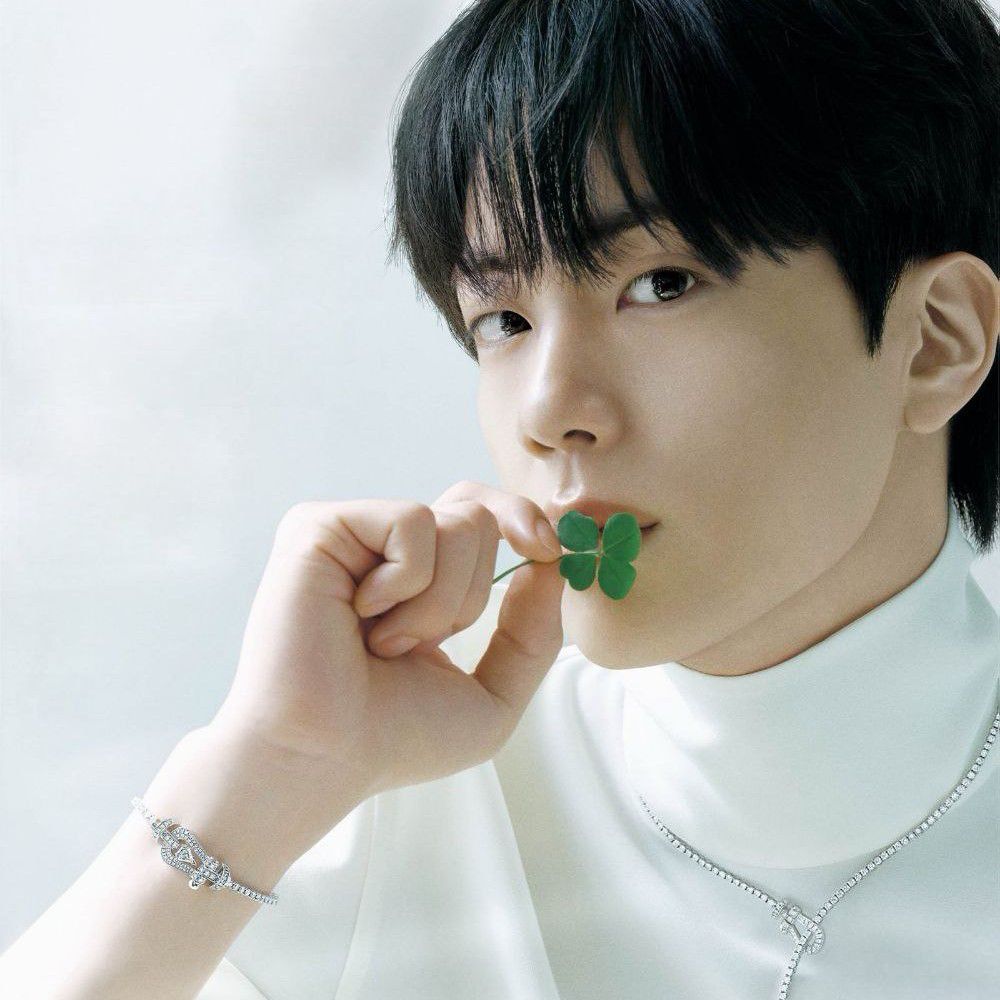 A moment captured by Jin (BTS)'s fan