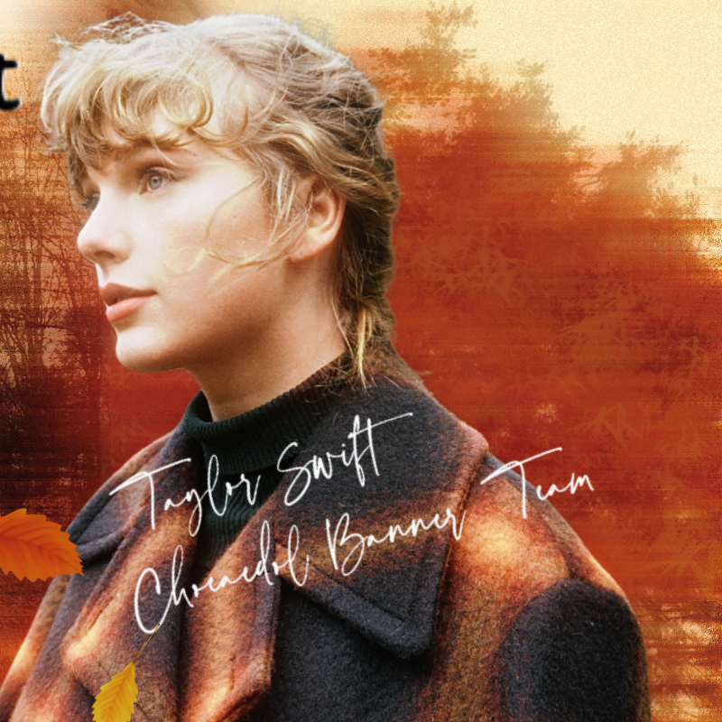 A moment captured by Taylor Swift's fan