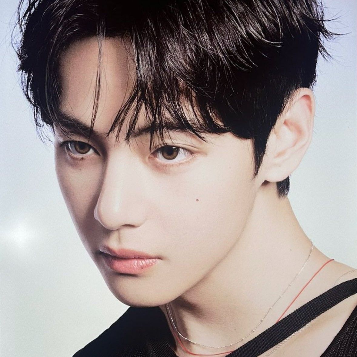 Recent activity shot of BTS