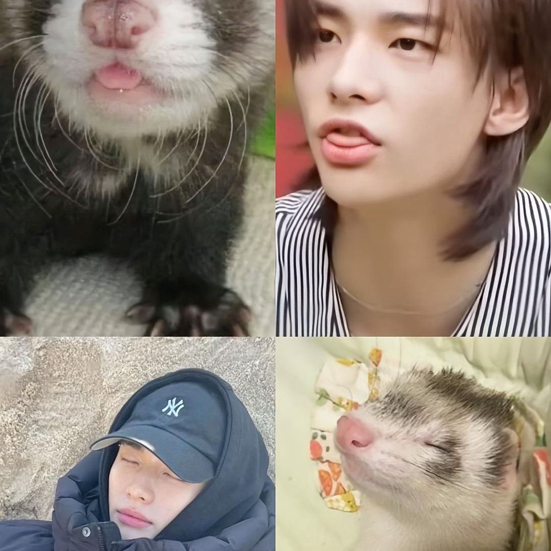 Latest photo of Hyunjin (Stray Kids)