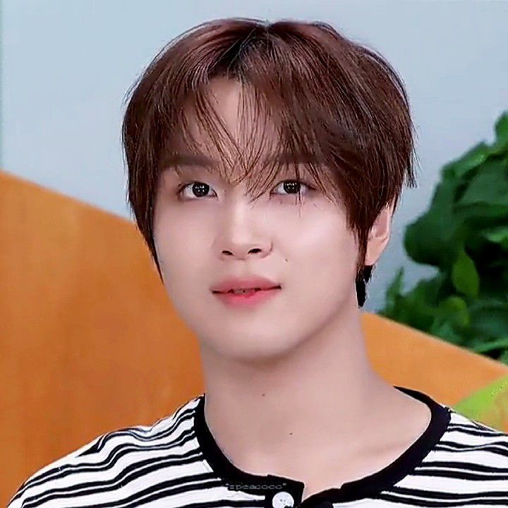 A moment captured by Haechan (NCT 127, NCT DREAM)'s fan