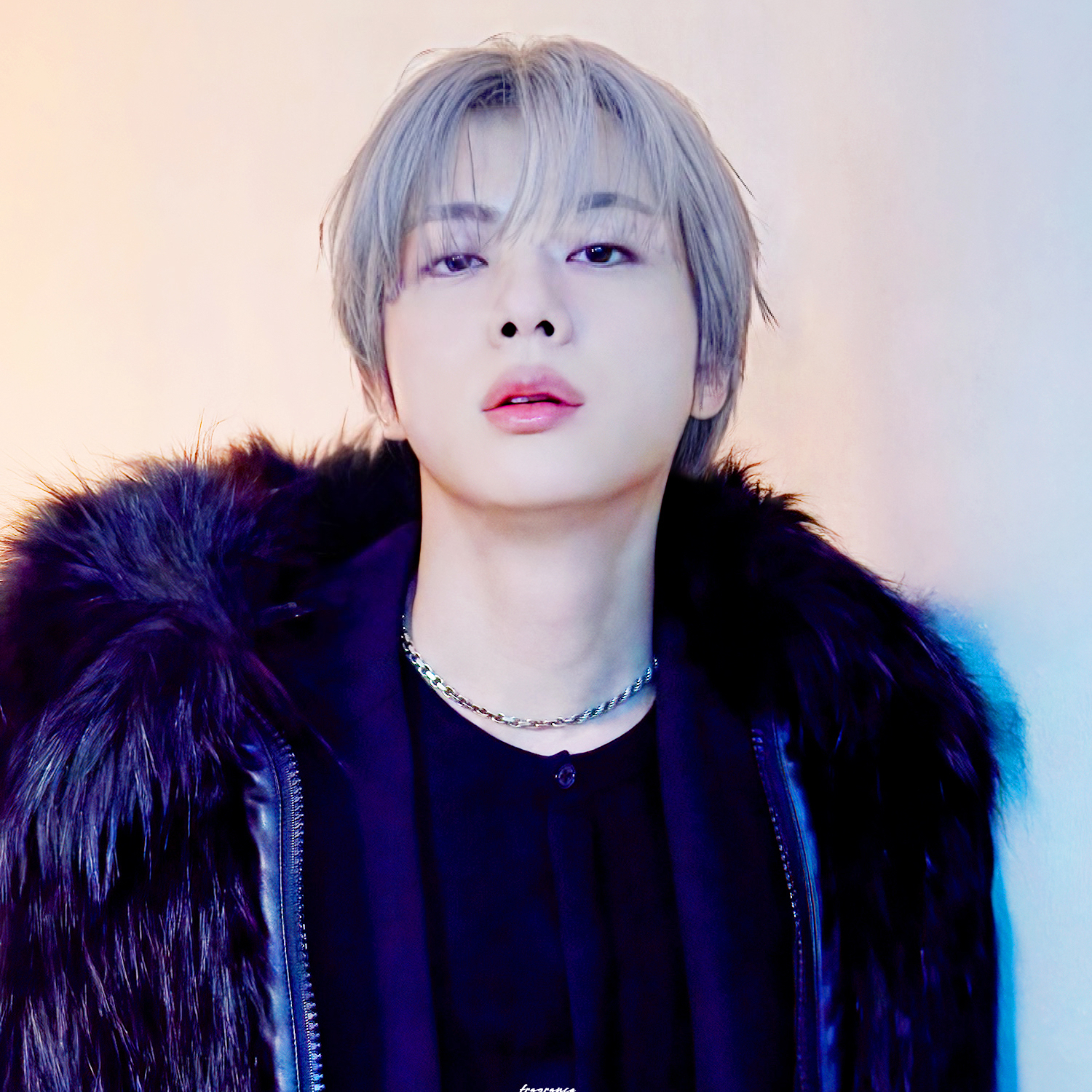 진 (방탄소년단) 팬이 찍은 순간