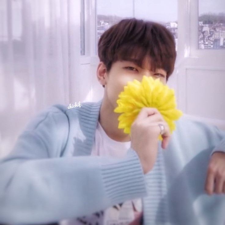 원우 (세븐틴) 팬이 찍은 순간