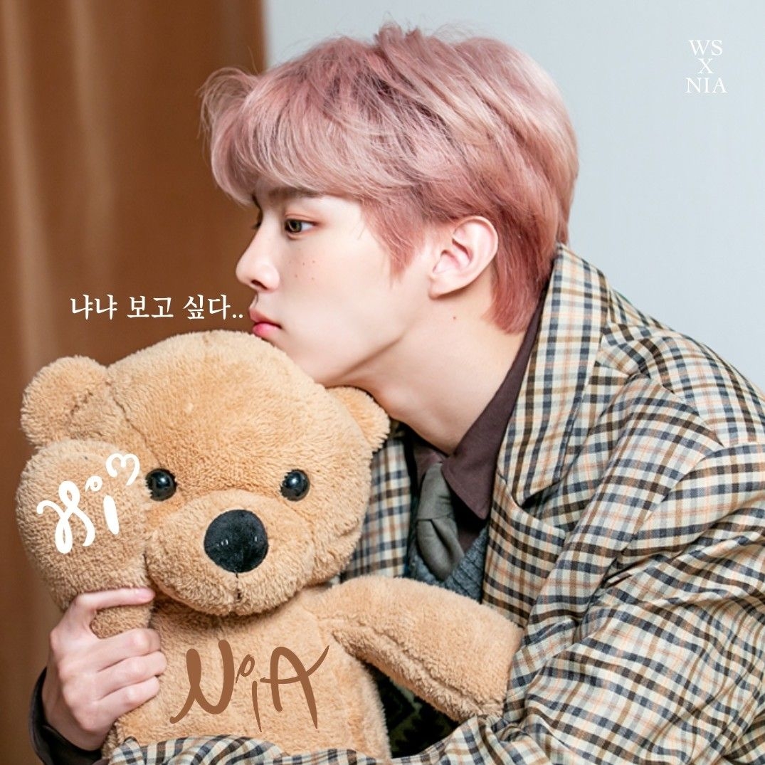 A moment captured by Kim Wooseok's fan