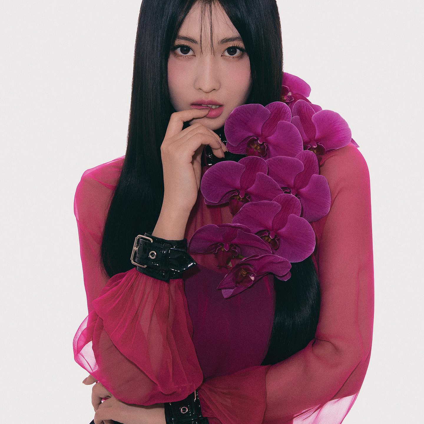 모모 (TWICE) 팬이 찍은 순간