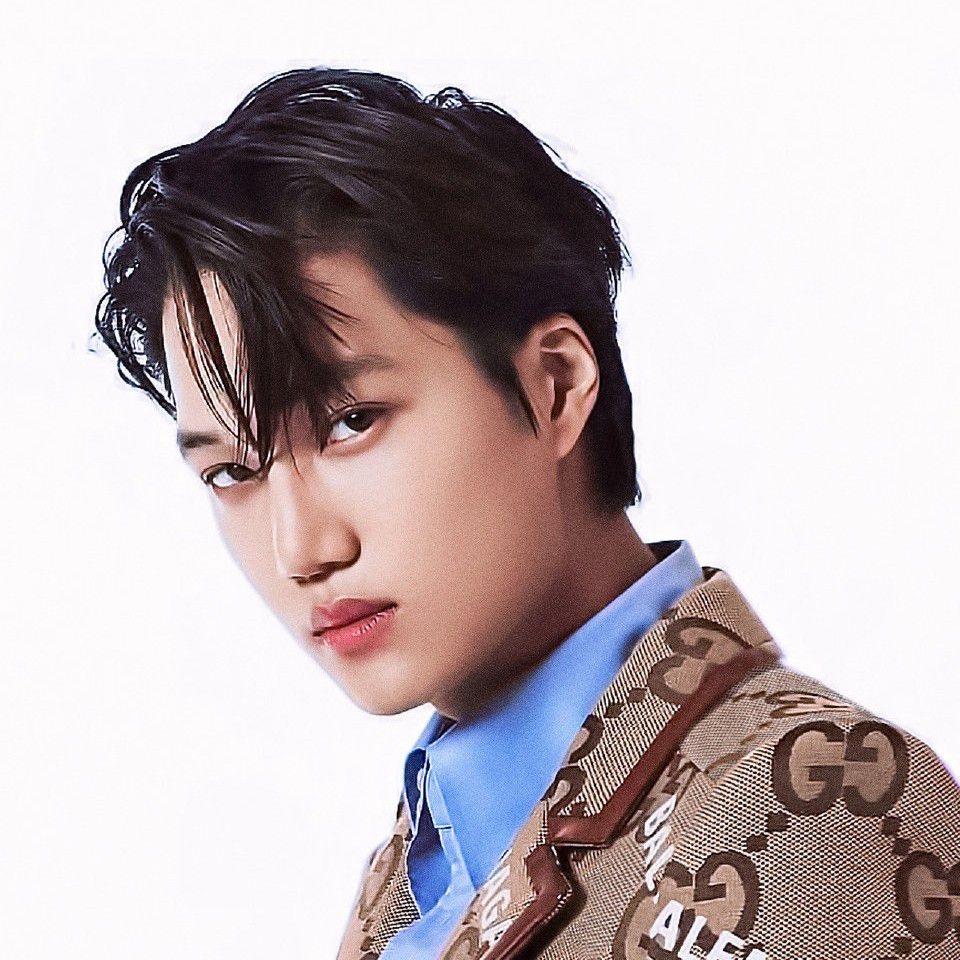 카이 (EXO) 팬이 찍은 순간