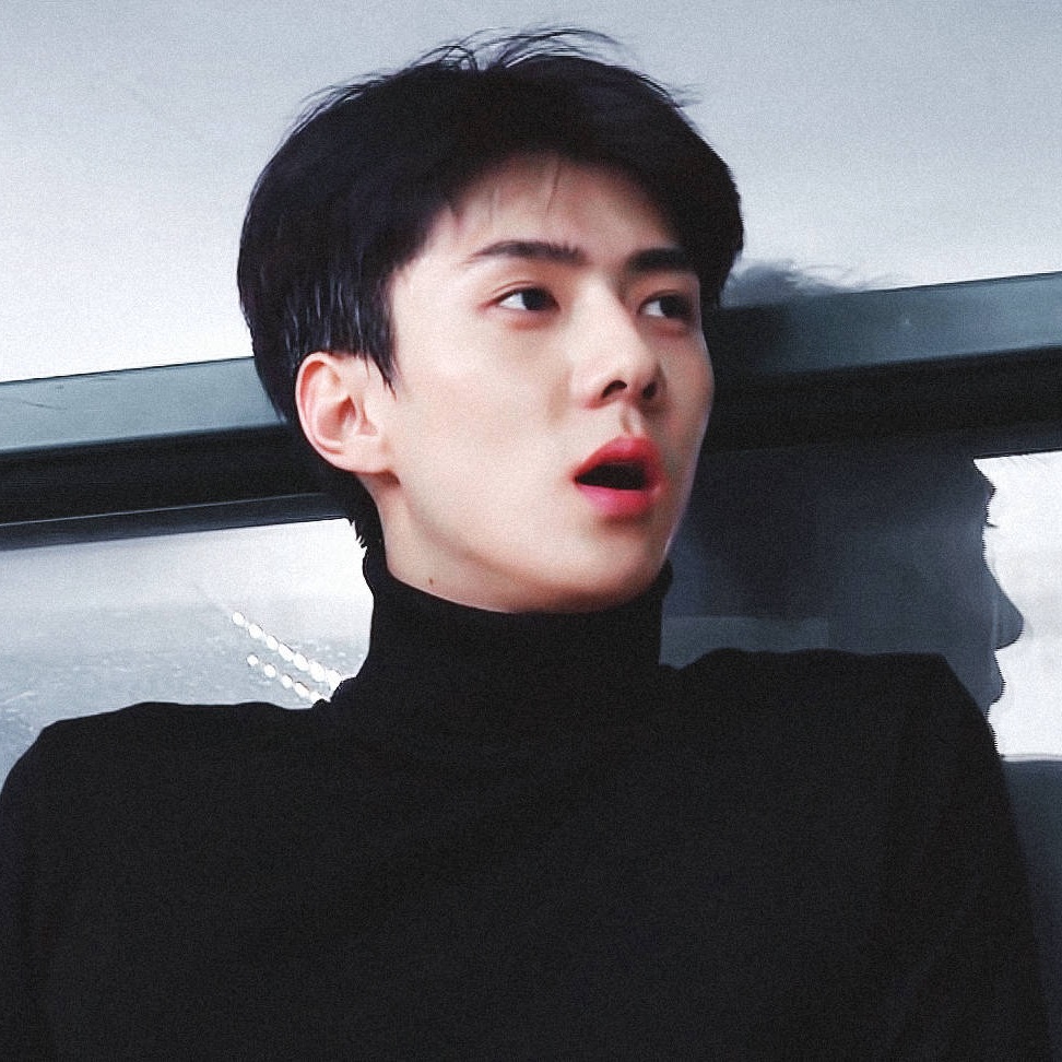 Potret di balik layar EXO