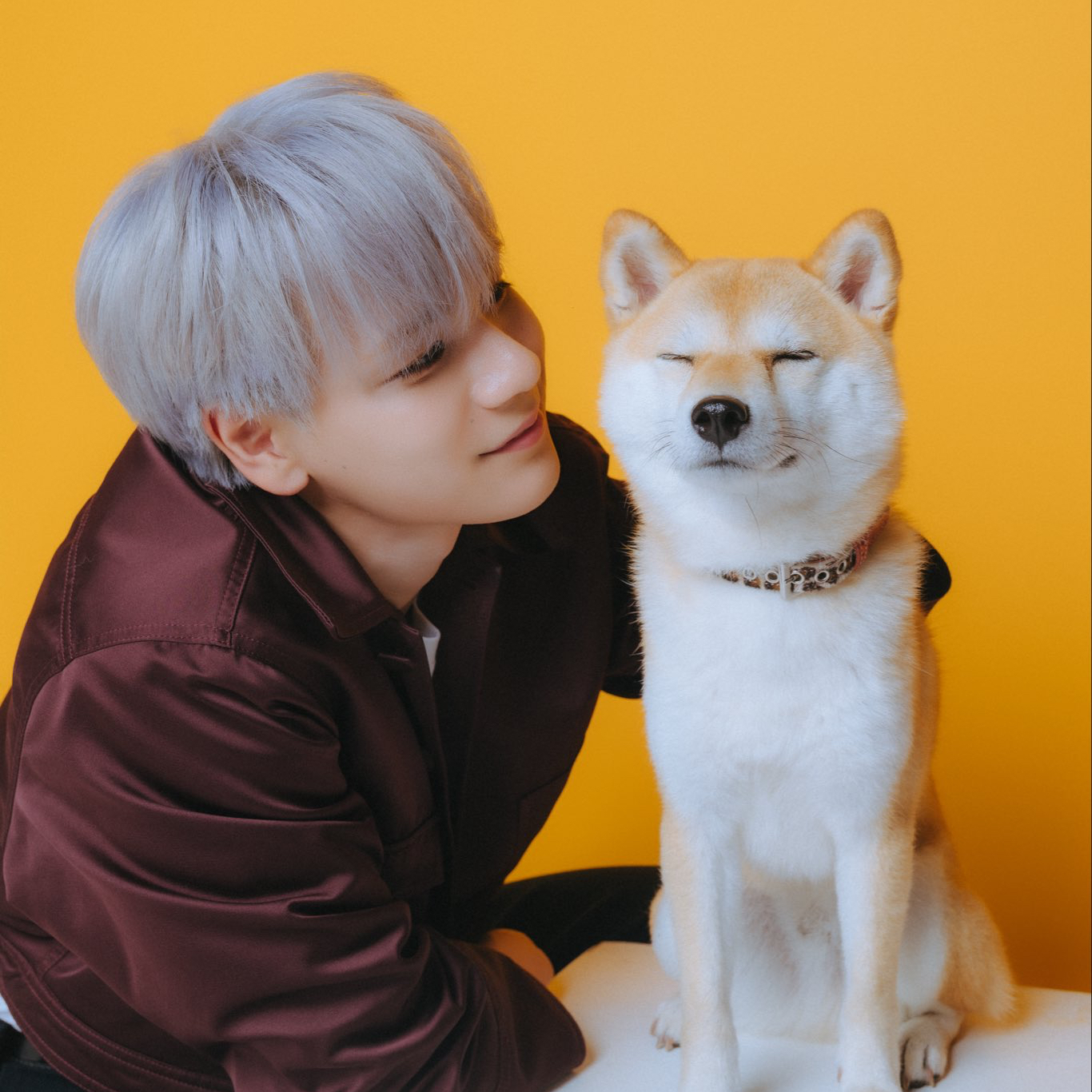 A moment captured by Mamehara Issei (JO1)'s fan