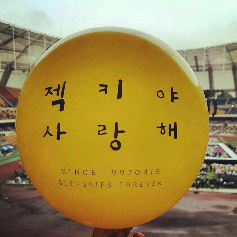 A moment captured by SECHSKIES's fan