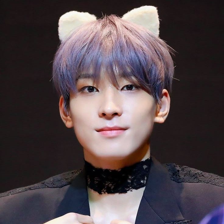 A moment captured by Wonwoo (SEVENTEEN)'s fan