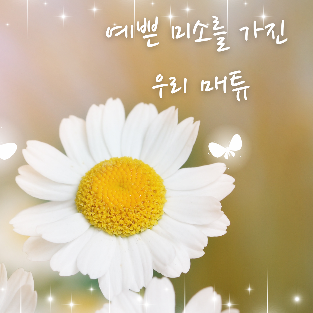 K-POP posts beloved by 석매튜 (제로베이스원) fans