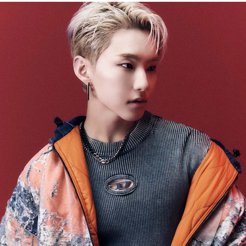 A moment captured by Hoshi (SEVENTEEN)'s fan