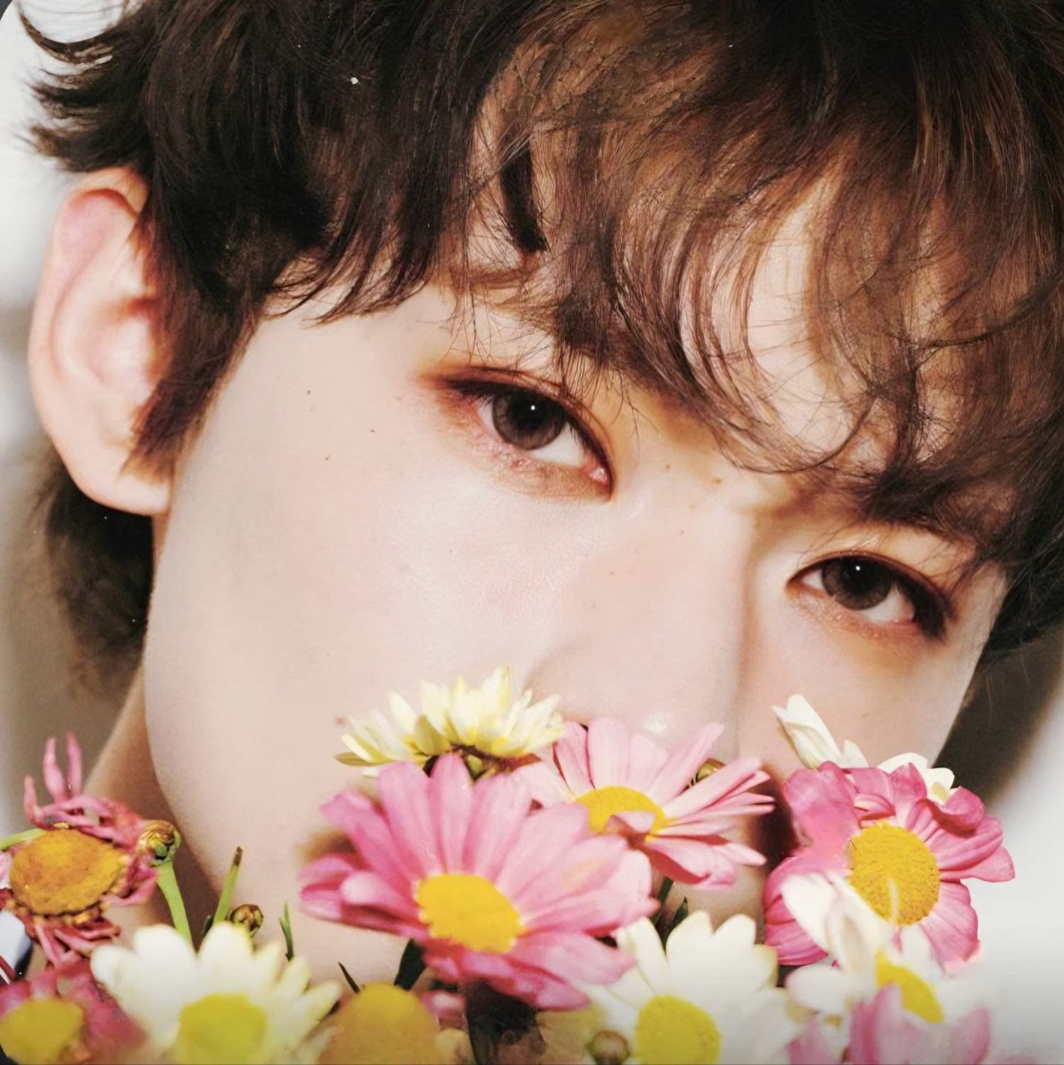 A moment captured by Chenle (NCT DREAM)'s fan