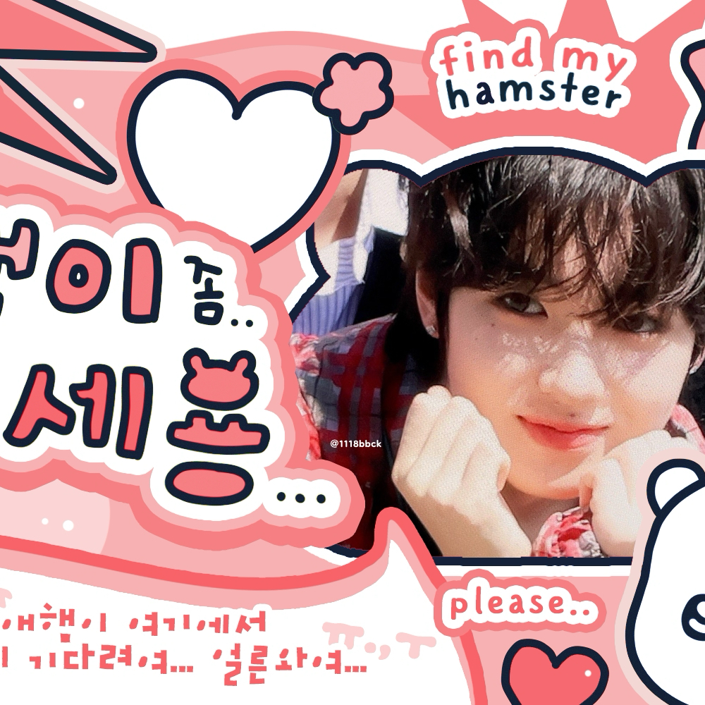 A moment captured by Sakuya (NCT WISH)'s fan