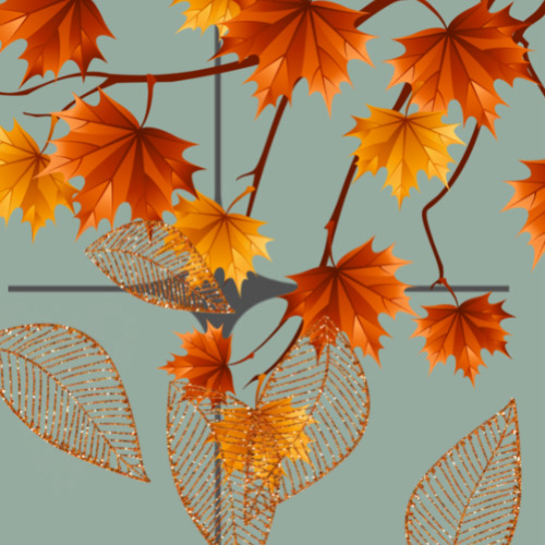 하성운 최근 활동샷