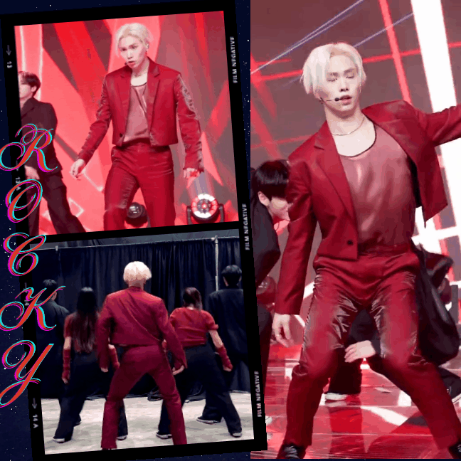 Recent activity shot of Rocky