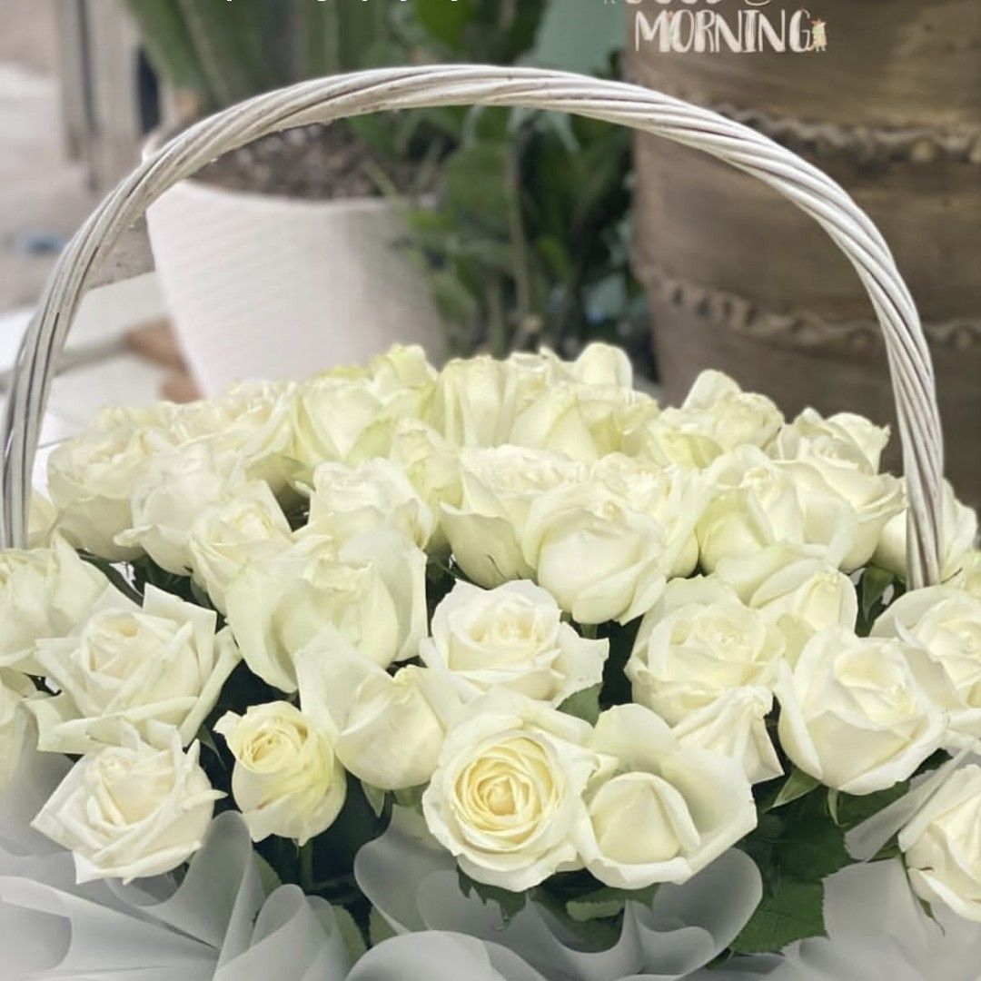 EXO의 최신 사진