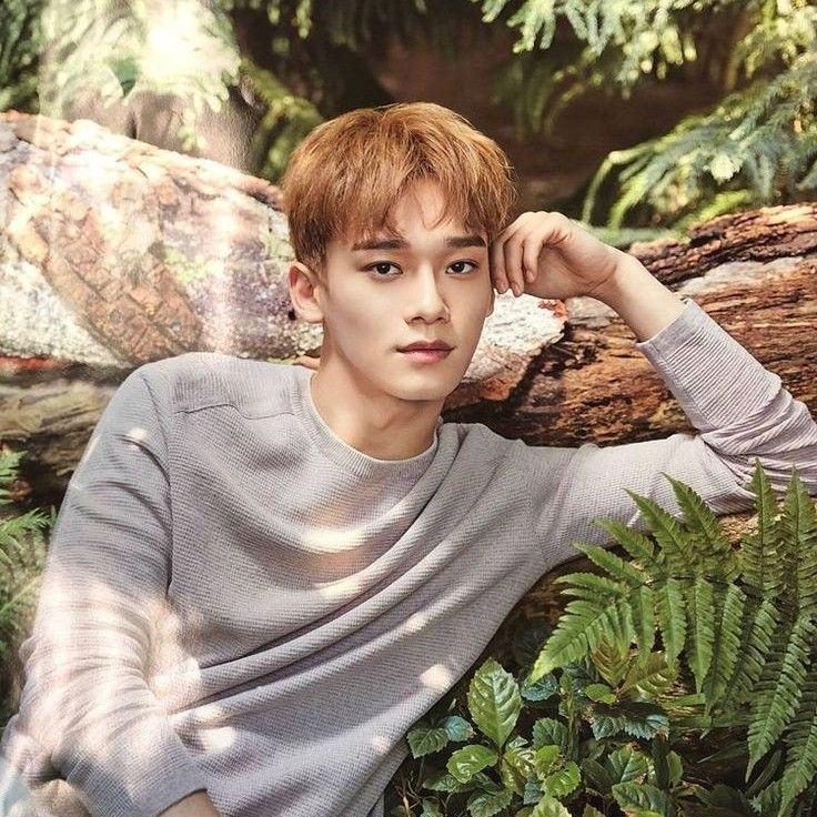 Latest photo of Chen (EXO)