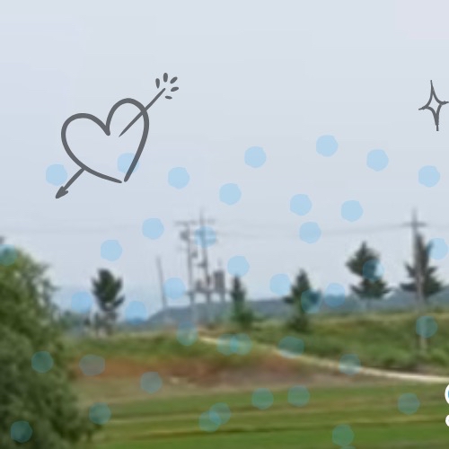 Recent activity shot of Sandeul (B1A4)