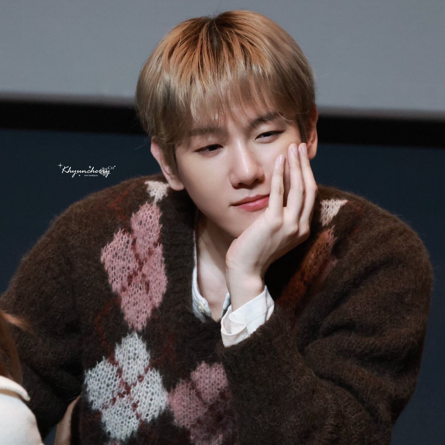 伯賢 (EXO)粉絲拍下的瞬間