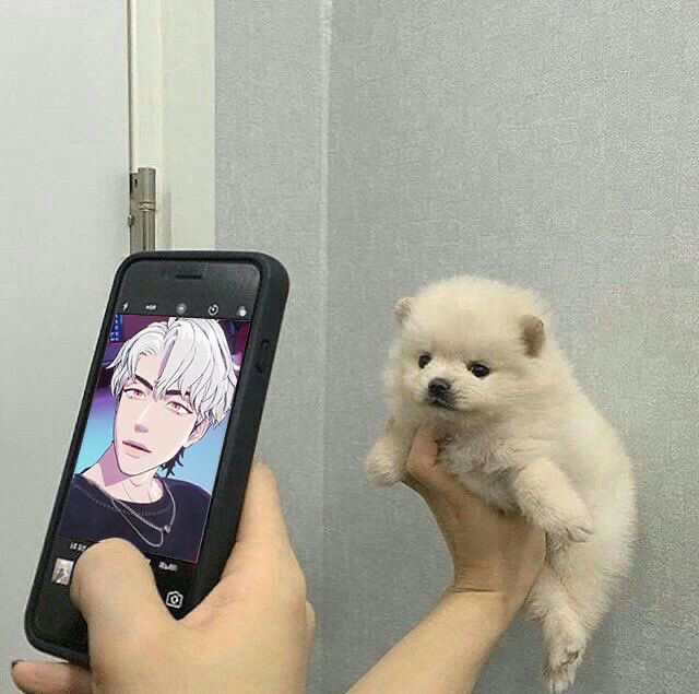 A moment captured by Eunho (PLAVE)'s fan