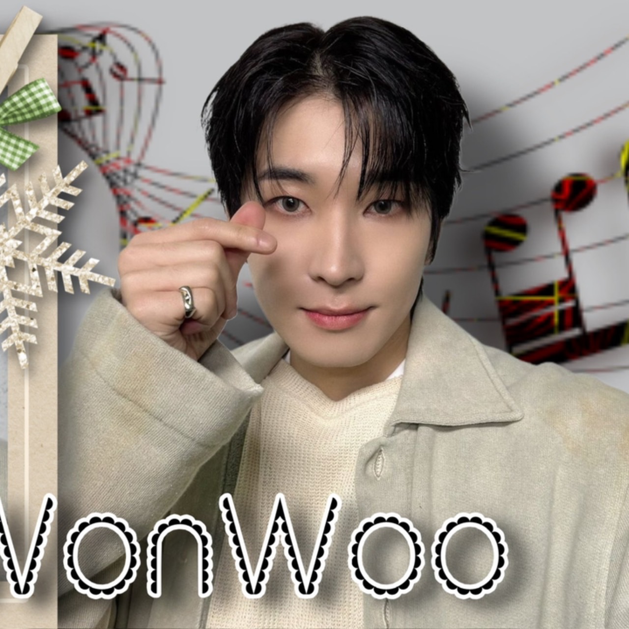 A moment captured by Wonwoo (SEVENTEEN)'s fan