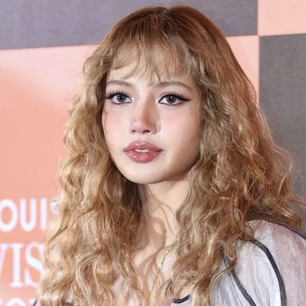 BLACKPINKファンが撮った瞬間