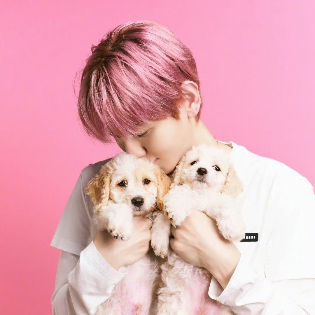 伯賢 (EXO)粉絲拍下的瞬間