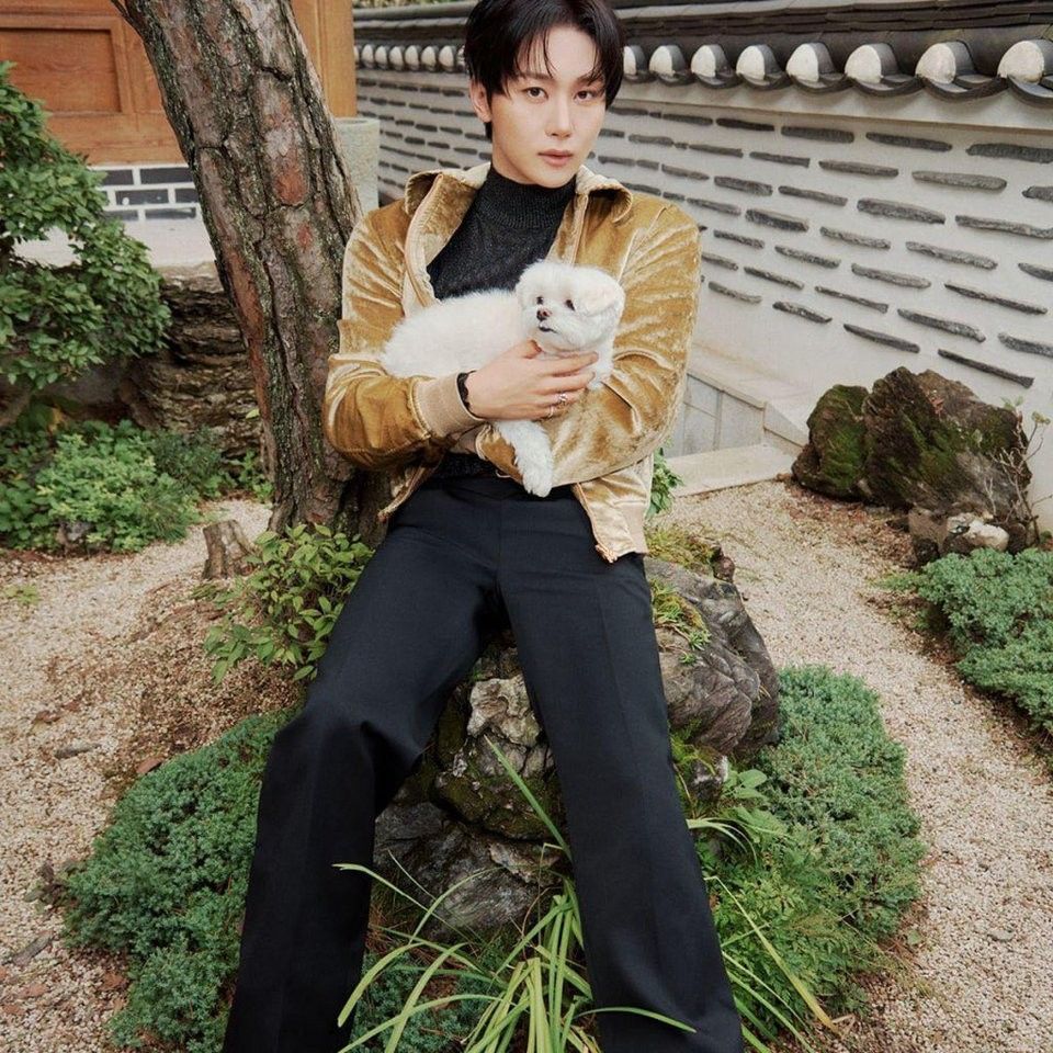 A moment captured by SEVENTEEN's fan