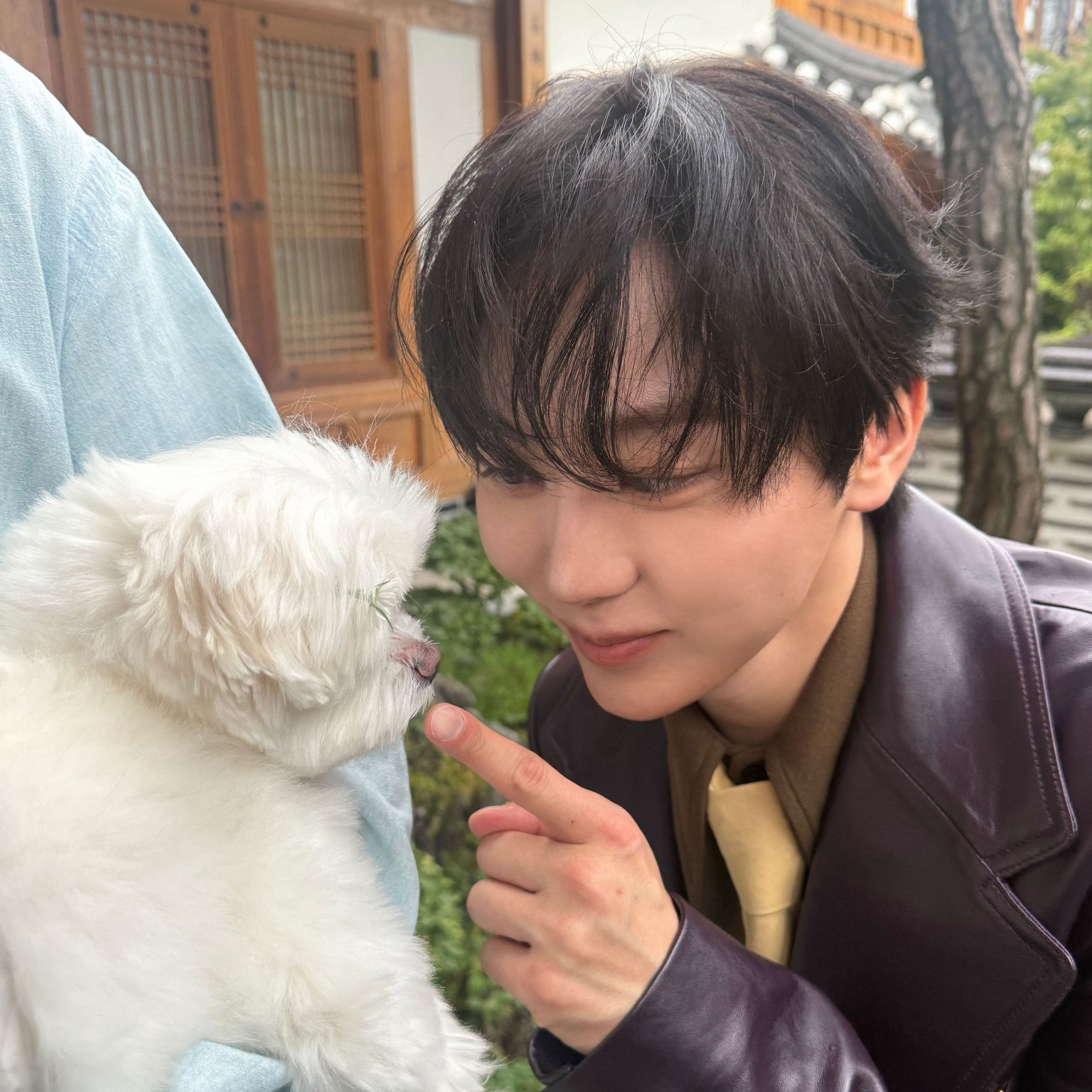 Recent activity shot of Seungkwan (SEVENTEEN)