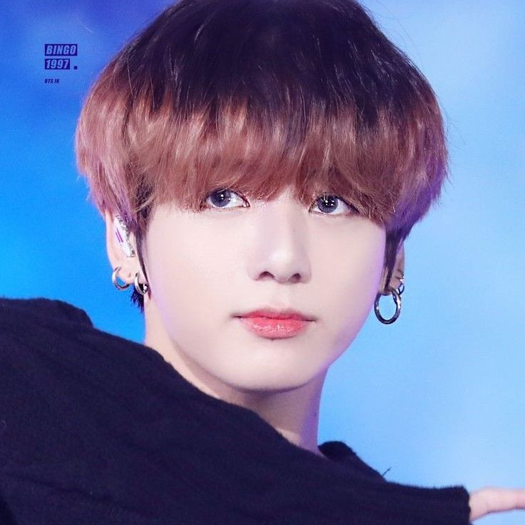 A moment captured by Jungkook (BTS)'s fan