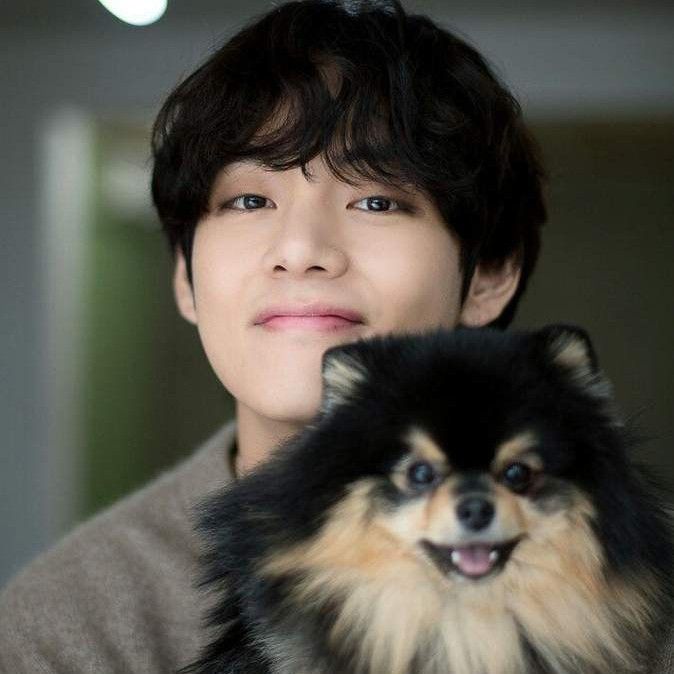 Behind-the-scenes cut of V (BTS)