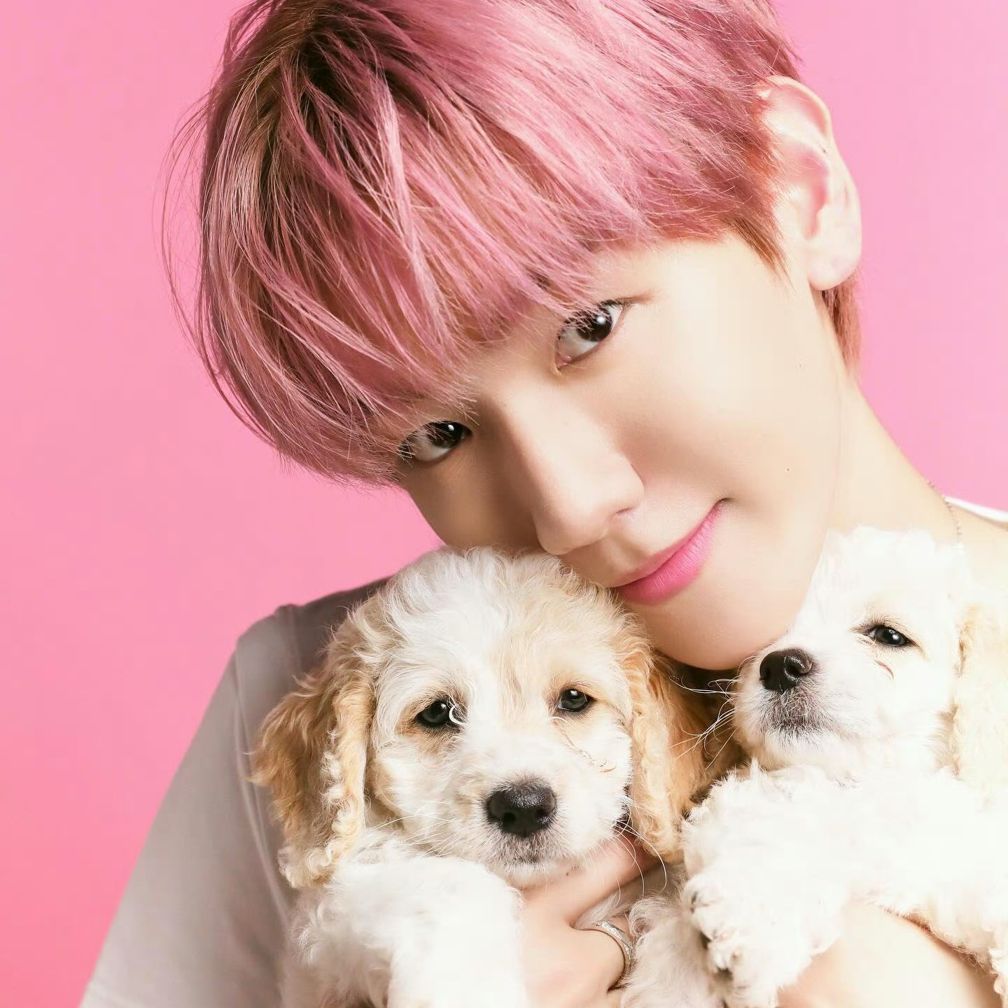 Recent activity shot of Baekhyun (EXO)