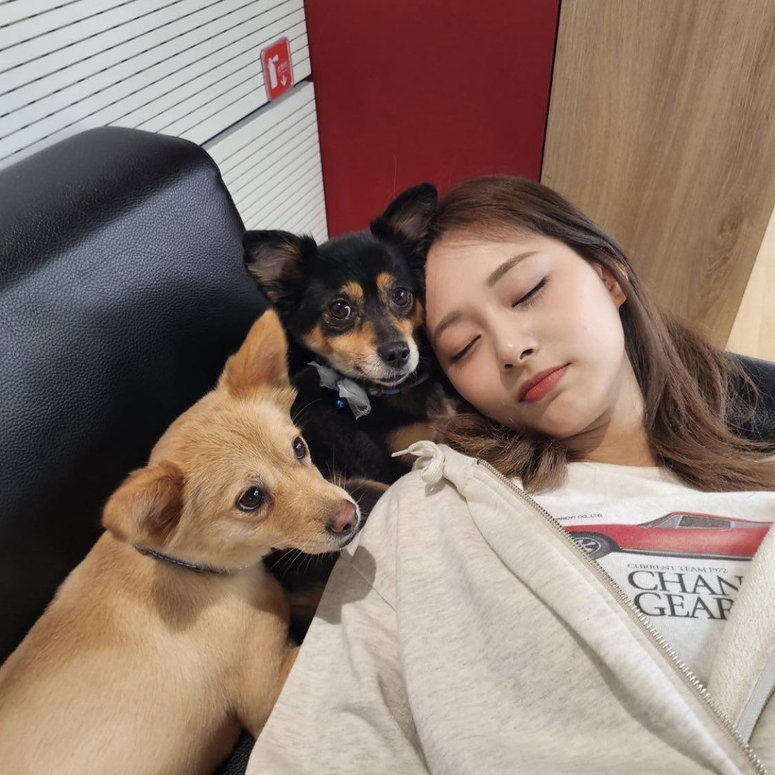 쯔위 (TWICE) 최근 활동샷